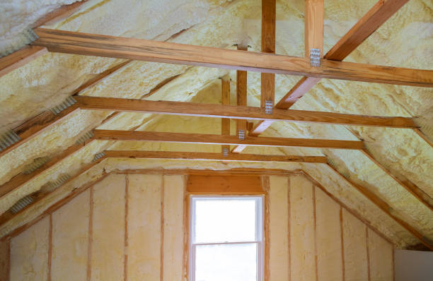 Best Insulation Maintenance and Repair in Sonora, TX